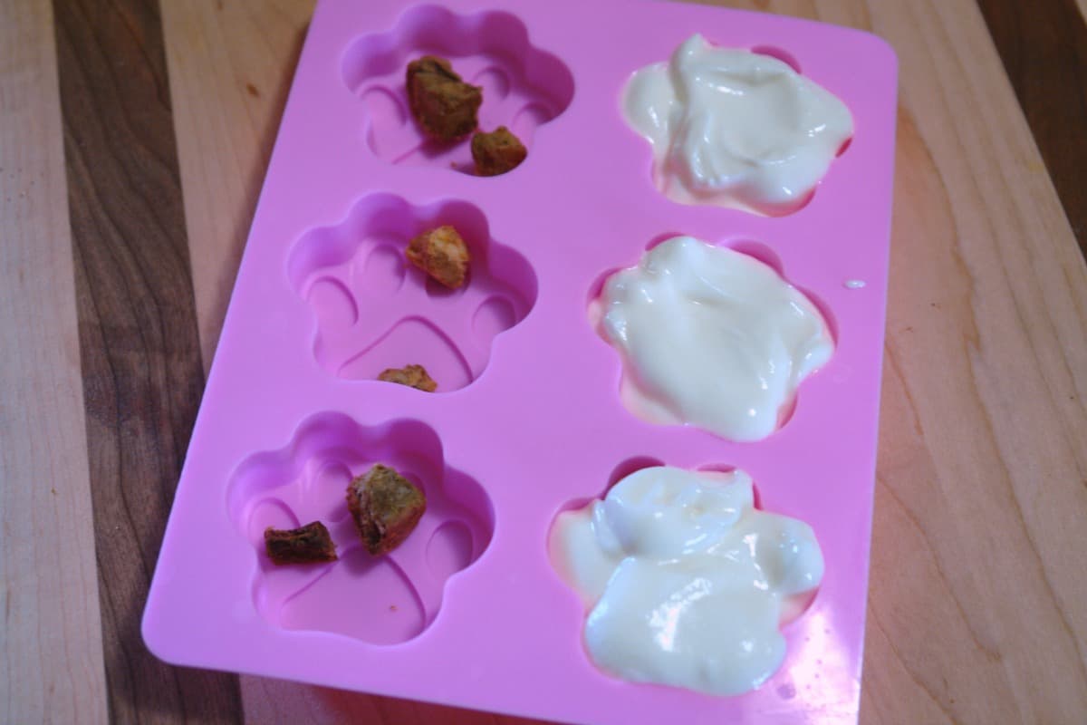 yogurt in half of silicone paw mold and treats in other half