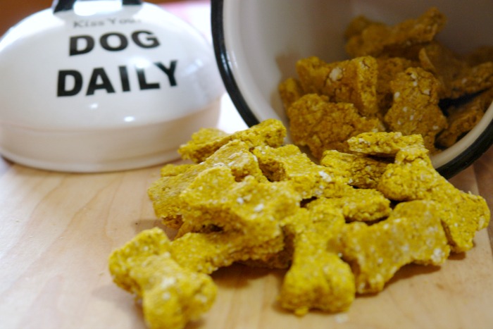 dog treats spilling out of treat container
