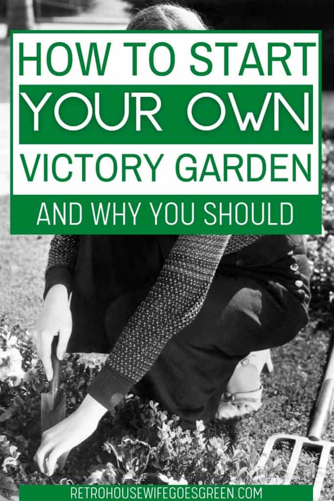 retro housewife gardening with text how to start your own victory garden and why you should