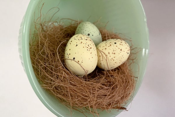 vintage teacup up close with bird nest and eggs