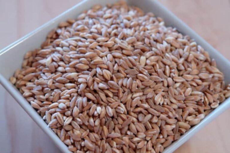 raw farro
